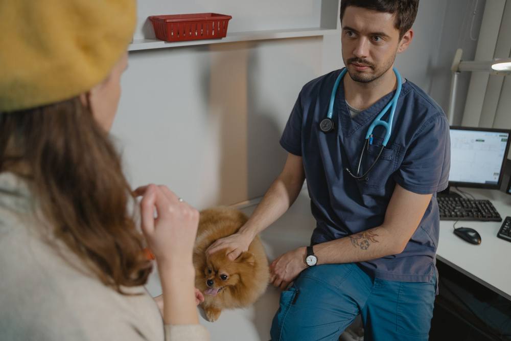 Medicul, cu stetoscopul turcoaz la gât, o ascultă pe stăpână și ține mâna pe capul pomeranianului.